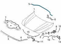 OEM 2020 BMW 228i xDrive Gran Coupe REAR ENGINE HOOD SEALING Diagram - 51-76-7-450-916