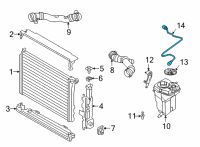 OEM BMW M4 PIPE, RADIATOR-EXPANSION TAN Diagram - 17-12-8-096-445