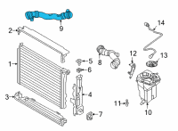 OEM 2021 BMW M4 HOSE, COOLANT RADIATOR - THE Diagram - 17-12-8-096-427