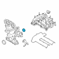 OEM 2016 Ford Fiesta Gasket Diagram - CM5Z-8255-B