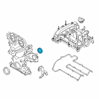 OEM Ford Fiesta Gasket Diagram - CM5Z-8255-B