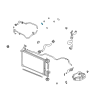 OEM Pontiac Aztek Hose Diagram - 24504913