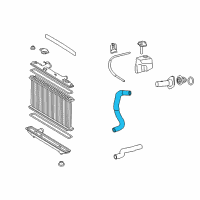 OEM Toyota Camry Lower Hose Diagram - 16572-36060