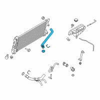 OEM Ford F-150 Upper Hose Diagram - JL3Z-8260-A