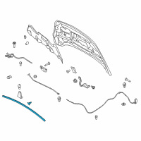 OEM Ford Escape Front Weatherstrip Diagram - CJ5Z-16B990-A