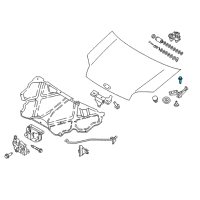 OEM Ford Transit Connect Upper Hinge Lower Bolt Diagram - -W702449-S442