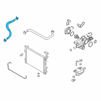 OEM Hyundai Sonata Hose Assembly-Radaator, Lower Diagram - 25415-3K500