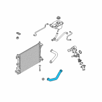 OEM 2012 Ford Mustang Lower Hose Diagram - BR3Z-8286-AA