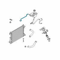 OEM Ford Mustang Reservoir Hose Diagram - BR3Z-8075-B