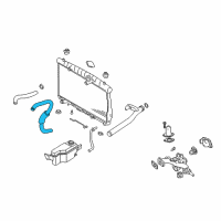 OEM 2005 Hyundai Santa Fe Hose-Radiator Lower Diagram - 25412-26300