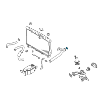 OEM Hyundai Entourage O-Ring Diagram - 25462-35504