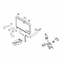 OEM 2004 Hyundai Santa Fe Hose-Radiator Reservoir Diagram - 25451-26300