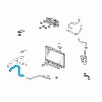 OEM 2012 Acura ZDX Hose, Water (Lower) Diagram - 19502-RP6-A00