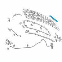 OEM 2020 Chevrolet Sonic Side Weatherstrip Diagram - 42520770