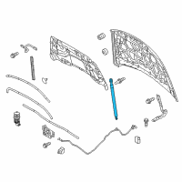 OEM 2017 Ford Taurus Lift Cylinder Diagram - AG1Z-16C826-B