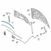 OEM 2017 Ford Taurus Front Weatherstrip Diagram - DG1Z-16B990-A