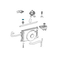 OEM 2006 Ford Explorer Thermostat O-Ring Diagram - -W702837-S300