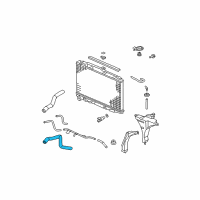 OEM Honda Hose, Water (Lower) Diagram - 19502-RGW-A00