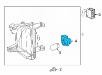 OEM Chevrolet Equinox Socket Asm-Rear Turn Signal Lamp Diagram - 25984640