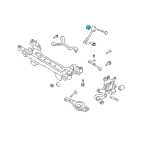 OEM 2006 Hyundai Sonata Bush-Trailing Arm Diagram - 55543-3K000