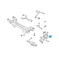 OEM Kia Amanti Bush-Rear Center Arm Diagram - 552153K000