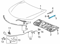 OEM 2022 Acura TLX Damper Assembly, Passenger Side Diagram - 74145-TGV-A01