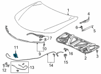 OEM 2021 Acura TLX Lock Assembly, Hood Diagram - 74120-TGV-A01