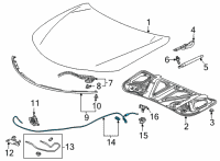 OEM Acura Wire Assembly, Hood Diagram - 74130-TGV-A01
