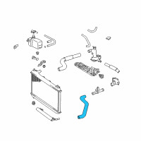 OEM 2000 Lexus ES300 Hose, Radiator, Outlet Diagram - 16572-20040