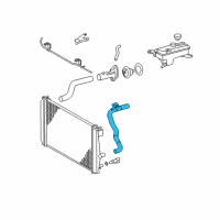 OEM 2007 Toyota RAV4 Lower Hose Diagram - 16571-28250