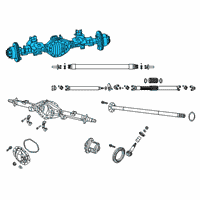 OEM 2019 Ram 2500 Axle-Rear Complete Diagram - 68295628AE