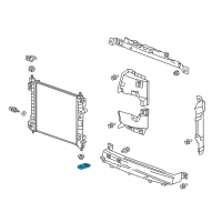 OEM 2013 Chevrolet Spark Radiator Lower Bracket Diagram - 95191691