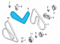 OEM 2021 Ford F-150 V-BELT Diagram - ML3Z-8620-D