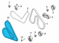 OEM 2016 Ford F-150 Water Pump Belt Diagram - BL3Z-8620-G