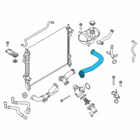 OEM 2017 Ford Mustang Upper Hose Diagram - FR3Z-8260-C