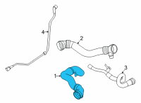 OEM 2022 BMW M8 Coolant Pump-Cooler Line Diagram - 11-53-8-074-110