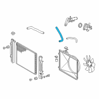 OEM 2019 Toyota Tacoma Lower Hose Diagram - 16572-0P350