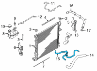 OEM 2022 Ford Police Interceptor Utility Water Hose Assembly Diagram - L1MZ-8C289-H