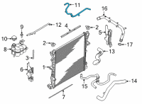 OEM 2020 Ford Police Interceptor Utility Overflow Hose Diagram - L1MZ-8075-C