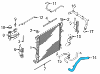 OEM Lincoln Aviator Lower Hose Diagram - L1MZ-8286-J