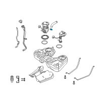 OEM Ford Filler Hose Clamp Diagram - 5W1Z-9S295-AA