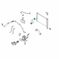 OEM 2009 Chevrolet Aveo5 Upper Hose Clamp Diagram - 94530096