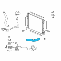OEM 2019 Honda Civic Hose B, Water Lowe Diagram - 19504-5BA-A00