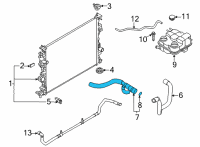 OEM 2022 Ford Maverick HOSE - RADIATOR Diagram - LX6Z-8260-B