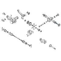 OEM Nissan Frontier Seal Oil Side Bearing Diagram - 38342-01G00