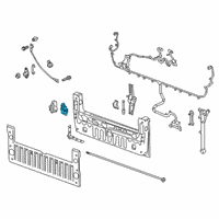 OEM 2021 Chevrolet Silverado 1500 Latch Diagram - 23392727