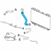 OEM 2020 Honda Civic Hose, Water (Lower) Diagram - 19502-5BF-G10