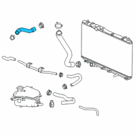 OEM 2021 Honda Civic Hose, Water (Upper) Diagram - 19501-5BF-G00