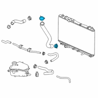 OEM 2007 Honda S2000 Clip, Hose (36.5MM) (Chuo Spring) Diagram - 19511-PH7-003