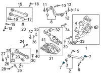 OEM Kia Flange Nut-Self Lock Diagram - 545593M000